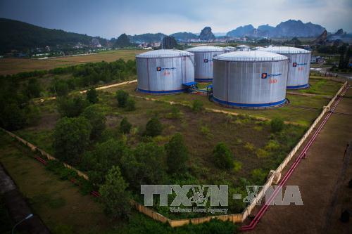 Lợi nhuận kinh doanh ngoài xăng dầu chiếm tỷ trọng lớn 